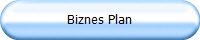 Biznes Plan